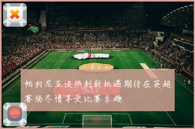 帕利尼亚谈热刺新机遇期待在英超赛场尽情享受比赛乐趣