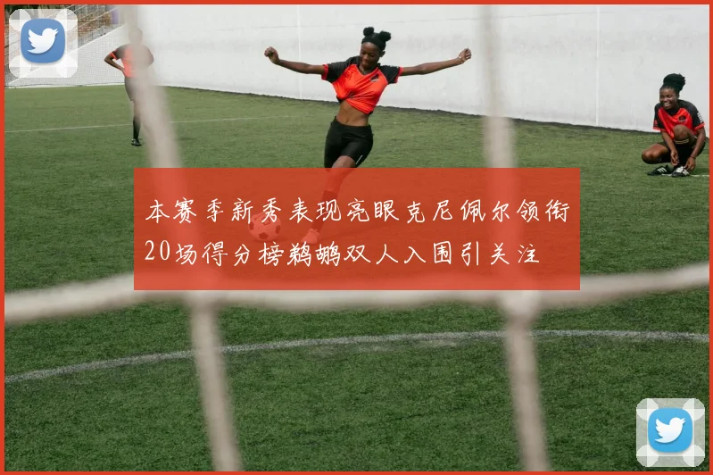 本赛季新秀表现亮眼克尼佩尔领衔20场得分榜鹈鹕双人入围引关注