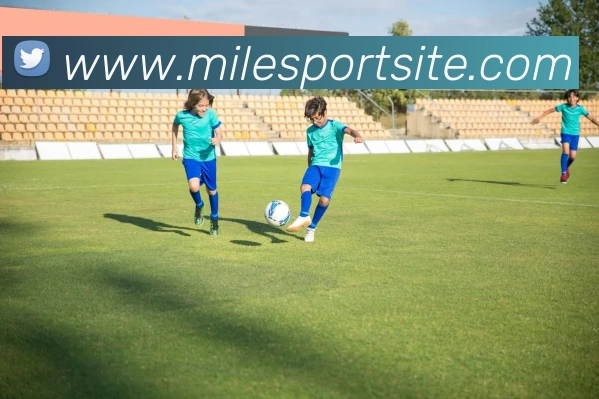 多媒体互动体验