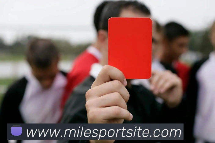 米乐体育APP 高清赛事图